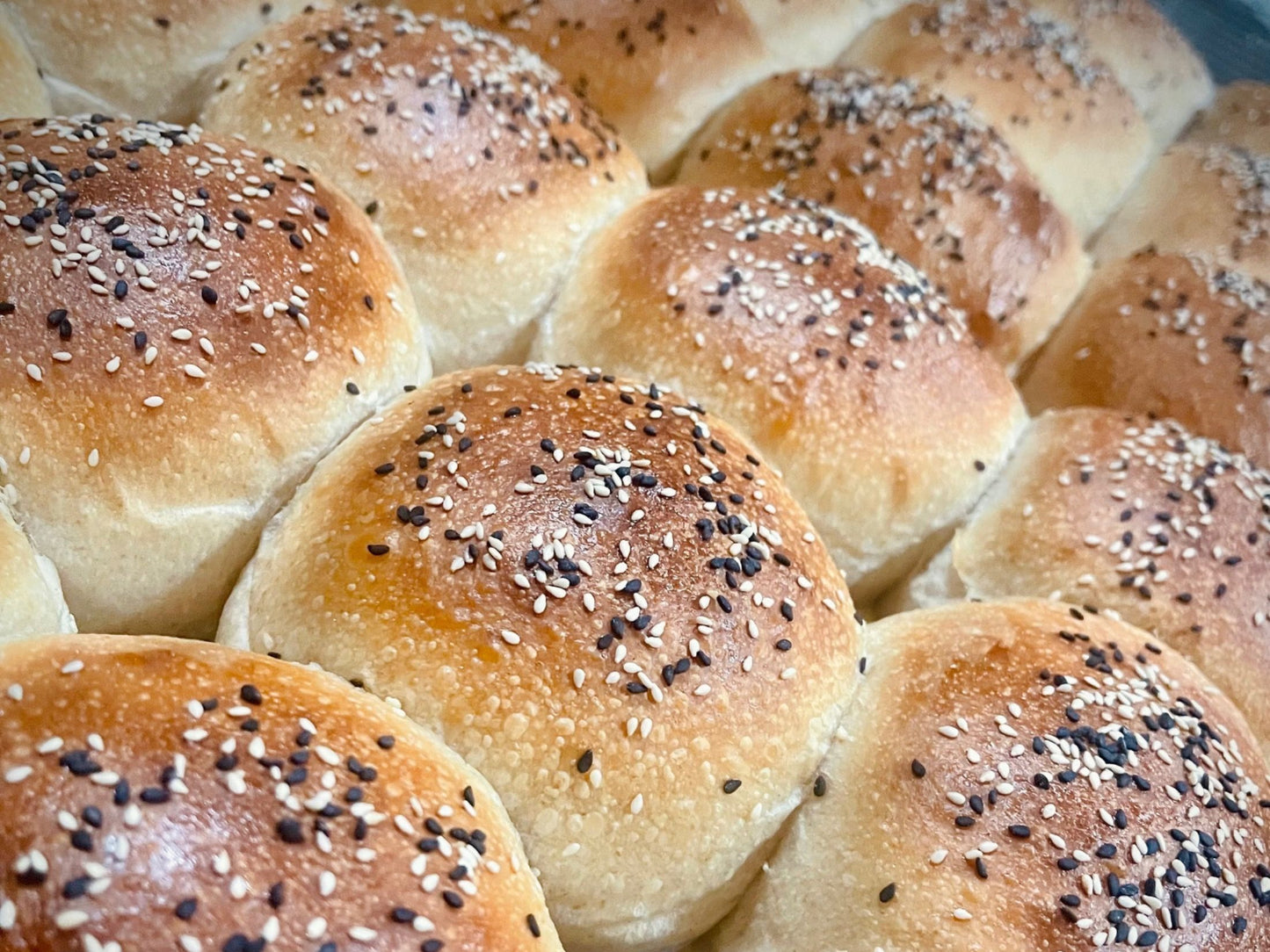 Sourdough Hamburger Buns (6-Pack)