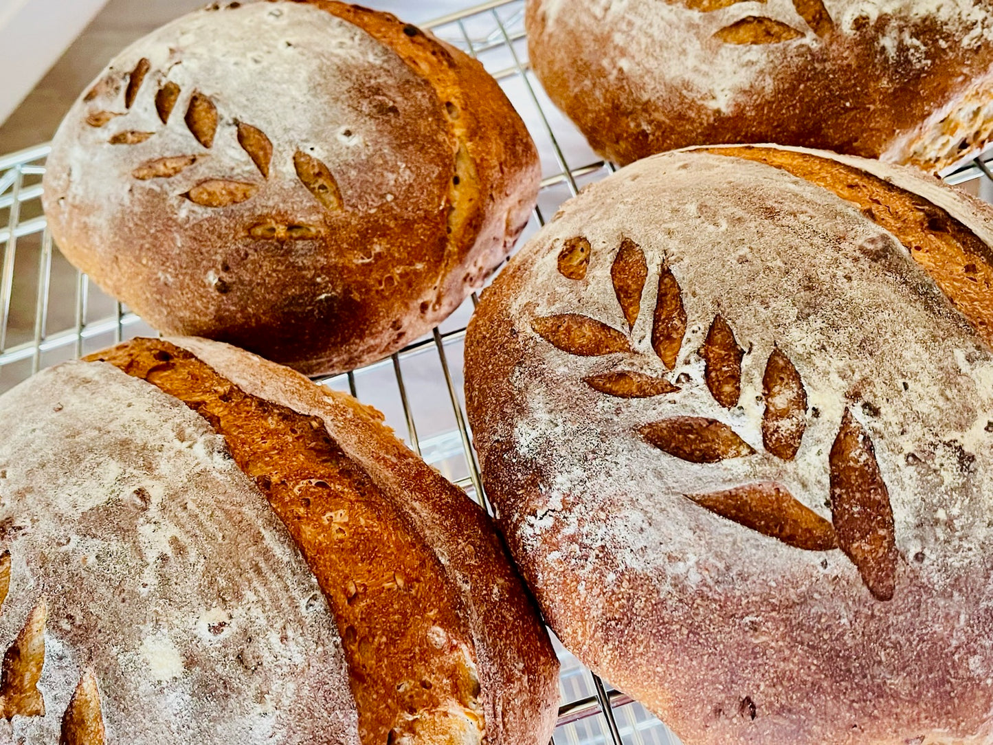 Cinnamon Maple Pecan Sourdough Loaf