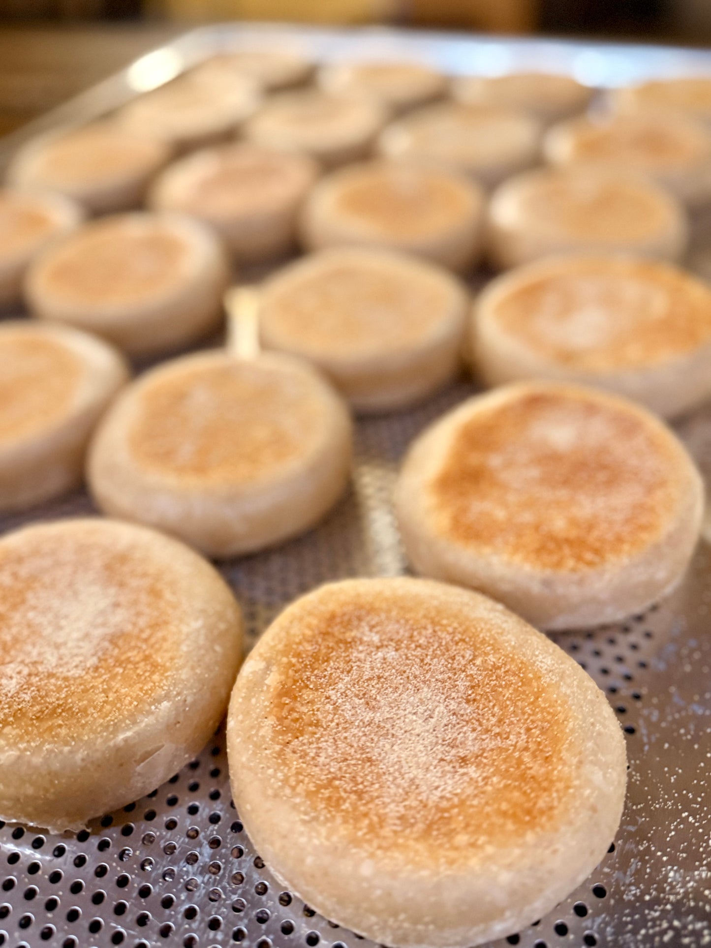 Amber Crumb English Muffins