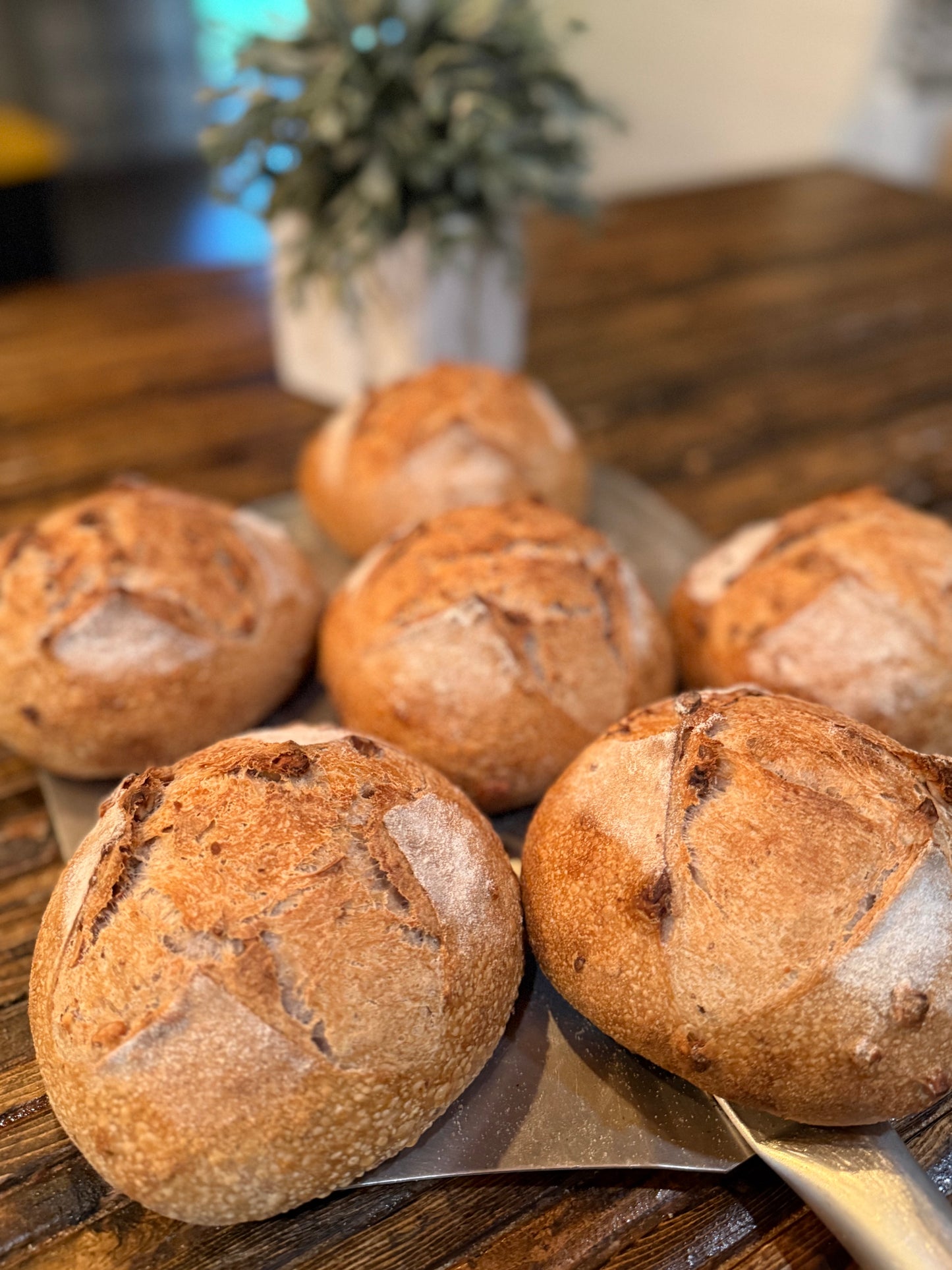 Cinnamon Maple Pecan Sourdough Loaf