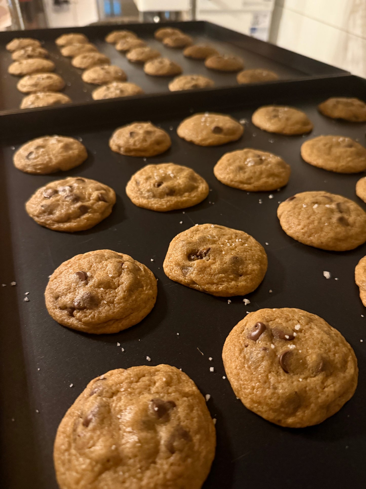 Sweet & Salty Sourdough Chocolate Chip Cookies (3-Pack)
