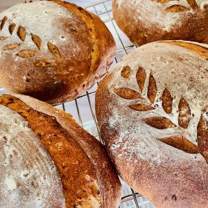 Cinnamon Maple Pecan